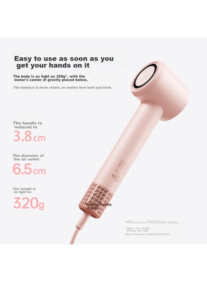 Flyco Borui High-speed Hair Dryer Large Power Quick-drying Household Hair Dryer Ionic Hair Care Hair Dryer Tube Quick-drying Hair Care Gift For Girlfriend On International Women's Day Ph1651 Pink