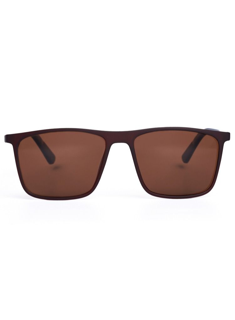 Unisex Sunglasses V2071 - Brown