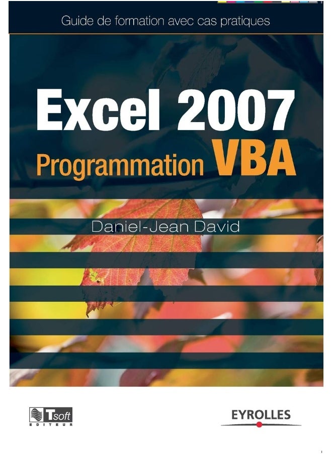 Excel 2007 - Programmation VBA: Guide de formation avec cas pratiques 