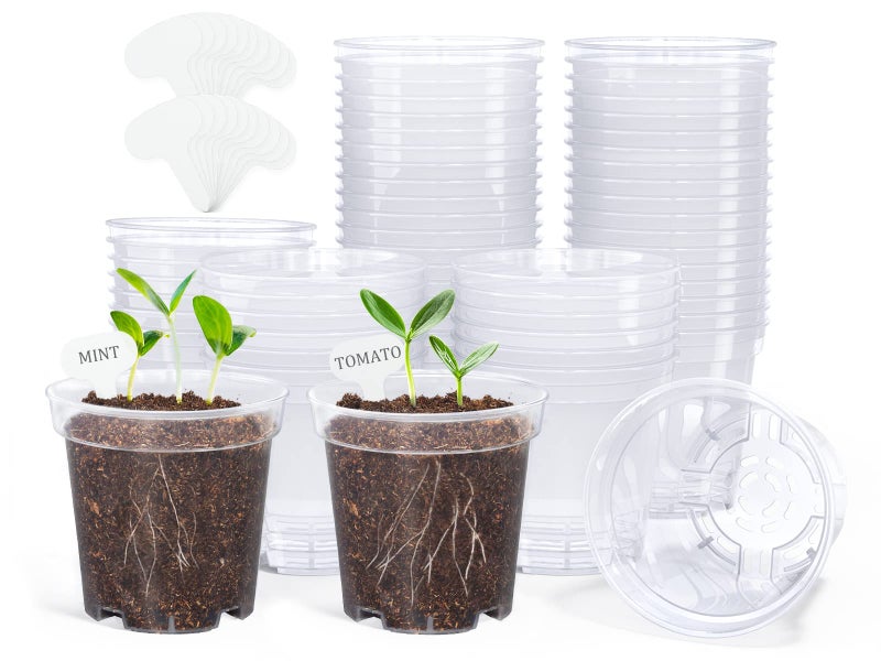 homenote Clear Nursery Pots for Plants,3 Inch Plant Pot for Planting Plastic Seedling with Drainage Holes Seed Starter Flower High Transparency with 20 Labels (60 Pack) - Image 1