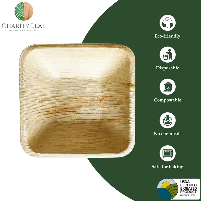 Charity Leaf Disposable Palm Leaf 4"" Square Bowl (50 pcs) Dipping Bowls | Bamboo Like| All Natural and Biodegradable | Charcuterie Boards  BBQs  and Parties - Image 2