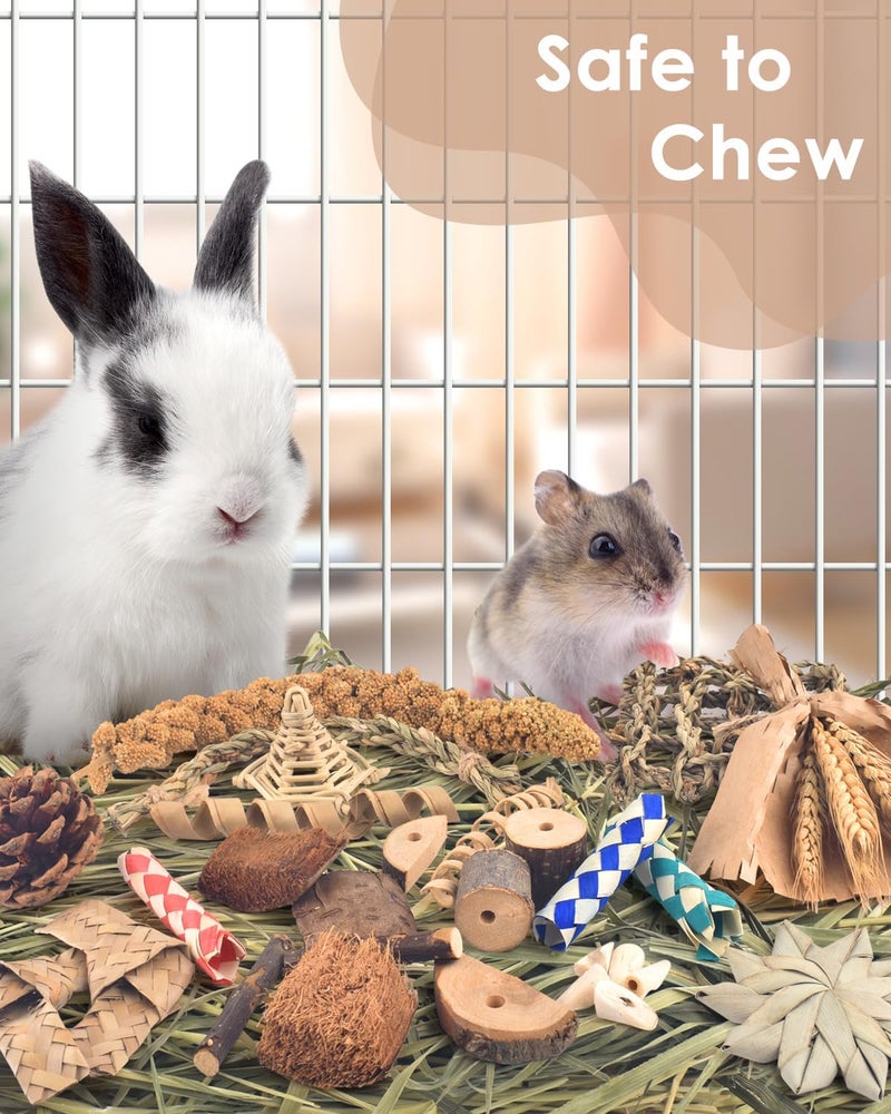 Bissap Rabbit Chew Toy, Natural Bunny Treats Snacks with Timothy Hay Water Grass Mat Coconut Husk Box for Guinea Pigs Chinchillas Hamsters Gerbils and Other Small Pets Teeth Grinding - Image 3