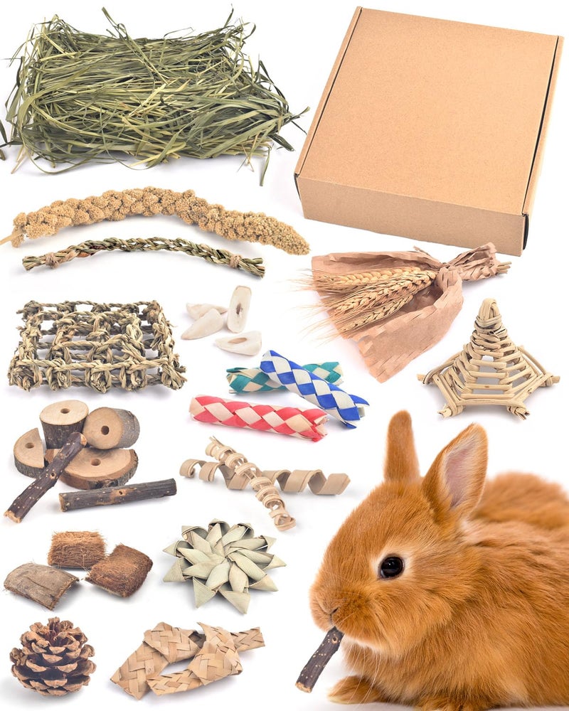 Bissap Rabbit Chew Toy, Natural Bunny Treats Snacks with Timothy Hay Water Grass Mat Coconut Husk Box for Guinea Pigs Chinchillas Hamsters Gerbils and Other Small Pets Teeth Grinding - Image 5