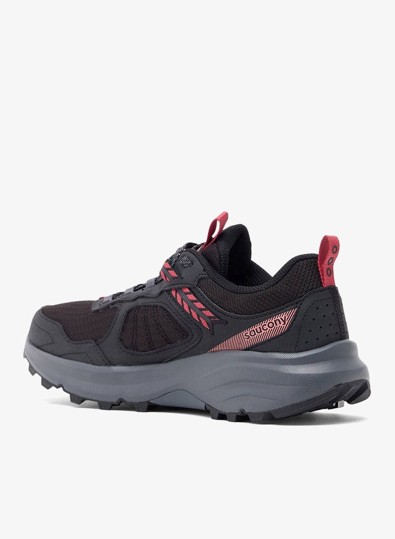 ساوكوني رحلة تري - Image 2