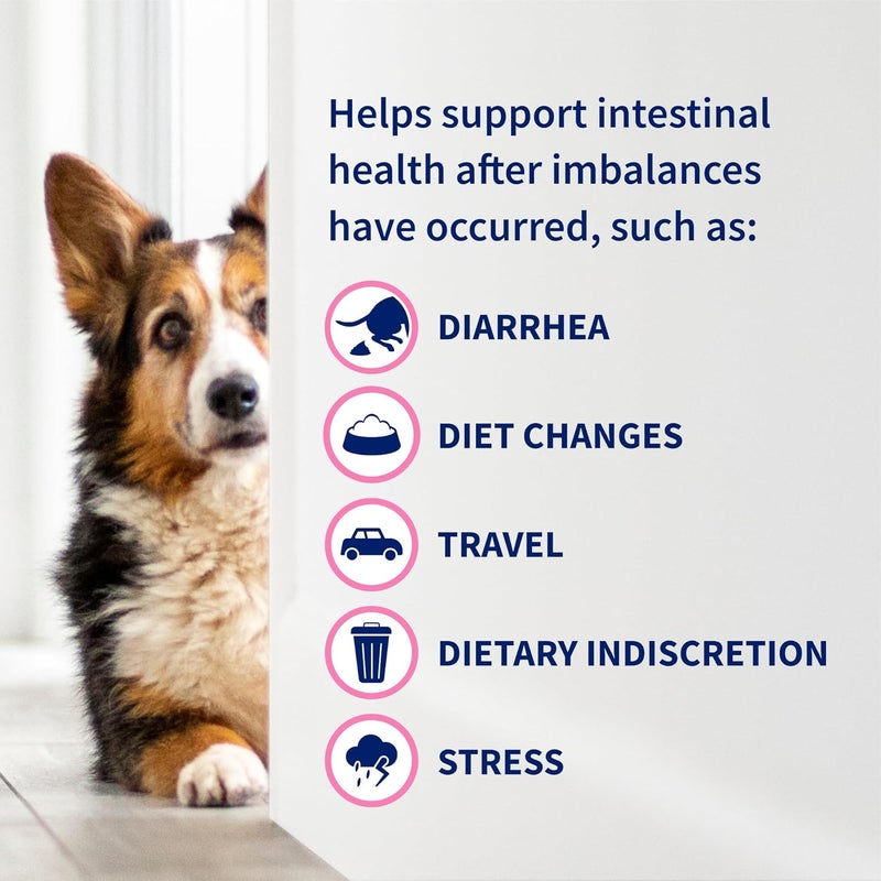Nutramax Laboratories Nutramax Proviable Digestive Health Supplement Kit with Multi-Strain Probiotics and Prebiotics for Medium to Large Dogs - With 7 Strains of Bacteria, 30 mL Paste and 10 Capsules - Image 5