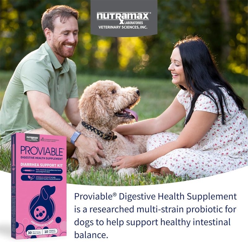 Nutramax Laboratories Nutramax Proviable Digestive Health Supplement Kit with Multi-Strain Probiotics and Prebiotics for Medium to Large Dogs - With 7 Strains of Bacteria, 30 mL Paste and 10 Capsules - Image 3