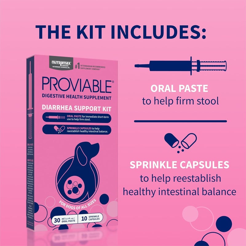 Nutramax Laboratories Nutramax Proviable Digestive Health Supplement Kit with Multi-Strain Probiotics and Prebiotics for Medium to Large Dogs - With 7 Strains of Bacteria, 30 mL Paste and 10 Capsules - Image 4