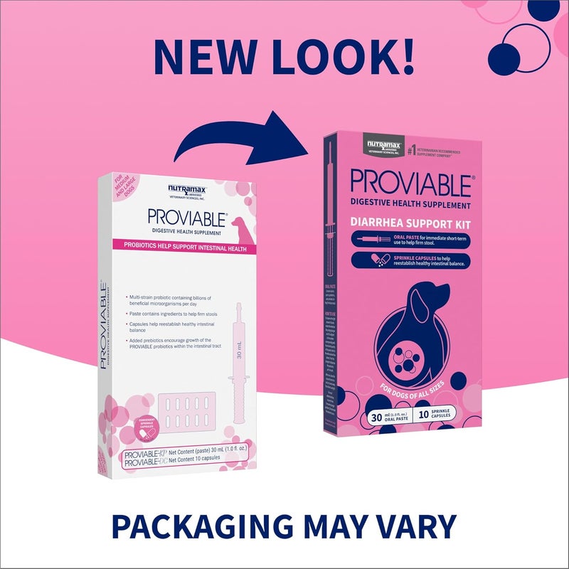 Nutramax Laboratories Nutramax Proviable Digestive Health Supplement Kit with Multi-Strain Probiotics and Prebiotics for Medium to Large Dogs - With 7 Strains of Bacteria, 30 mL Paste and 10 Capsules - Image 2