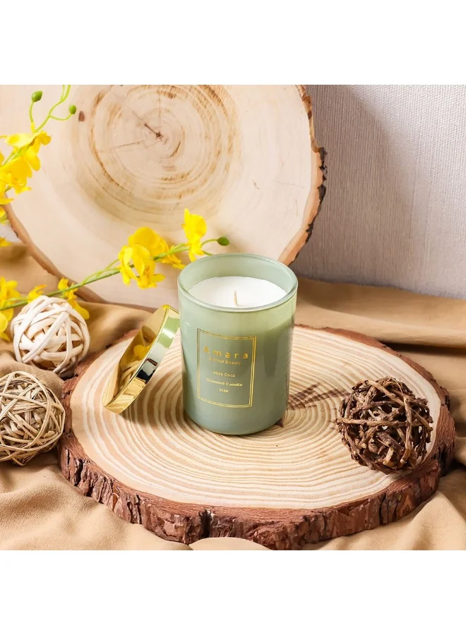 DANUBE HOME Danube Home Amara Ombre Glass Wax Candle - (8X10.5Cm) Multi Color Ombre Design Candles For Interiors Home Fragrance Decor Elegant Wax Candle For Cozy Atmosphere Decorative Home Accessories