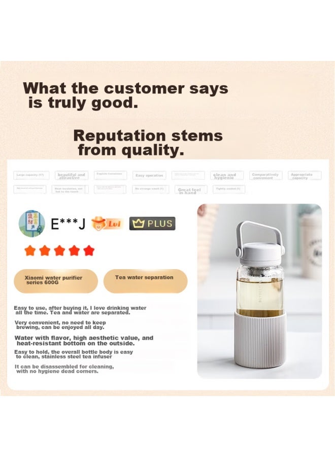 Buydeem Glass Tea Infuser Cup High Temperature Resistant Portable Travel Mug Gift Cup - Image 1
