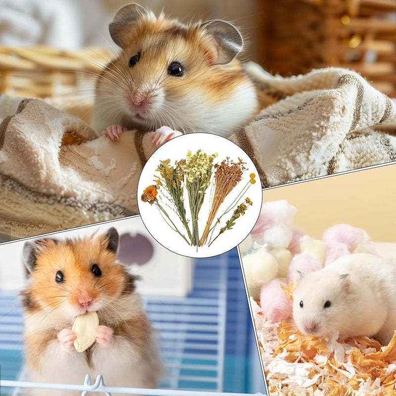 هاي فلورال شريدد بيدينج 1 قطعة للهامستر والجربيل والشينشيلا - Image 3