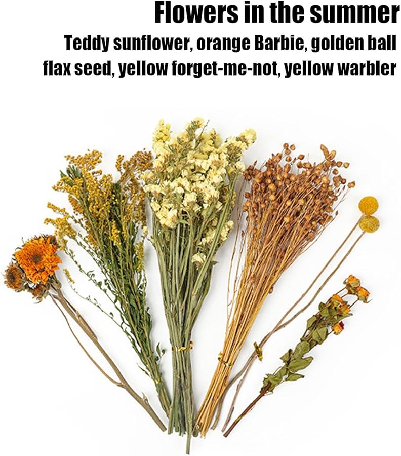 هاي فلورال شريدد بيدينج 1 قطعة للهامستر والجربيل والشينشيلا - Image 5