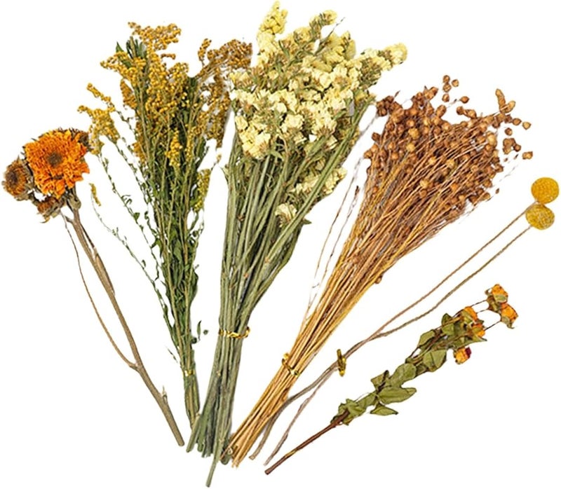 هاي فلورال شريدد بيدينج 1 قطعة للهامستر والجربيل والشينشيلا - Image 1