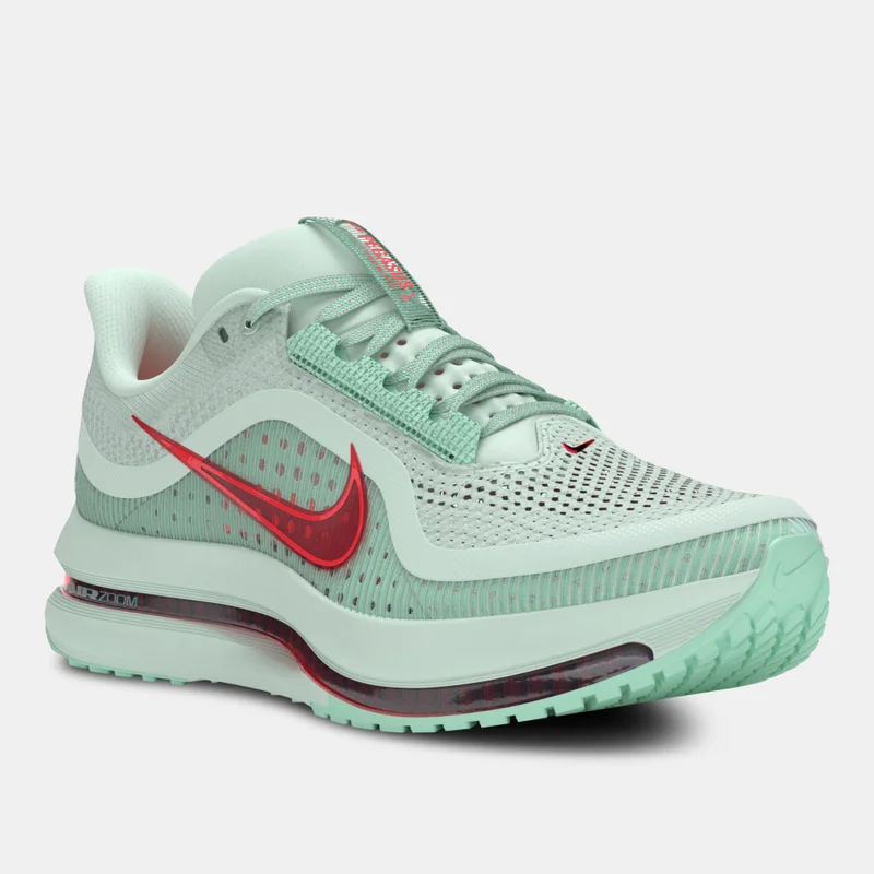 Nike Men's Pegasus Premium Road Running Shoes