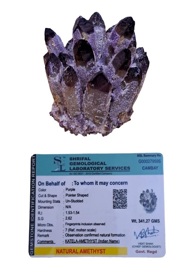 Divinity Healing Crystals The Certified Natural Amethyst Pure Quartz Family Phantom Cluster Geodes - Rare Earth Natural Formations (Amethyst Family Cluster) - Image 1