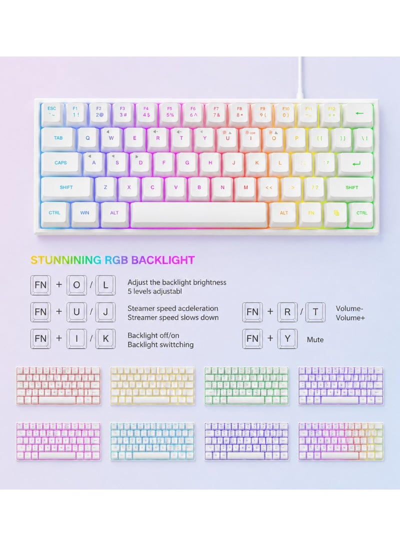 Throne premium 60% Gaming Mechanical Keyboard,Ultra Compact Mini 68 Key with  Wired Keyboard,Anti-Ghosting Keys, for Windows Laptops and PC Gamers,(White) - Image 3