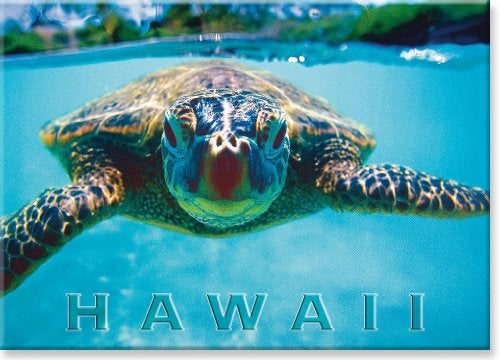 Pacifica Island Art Hawaiian Art Collectible Refrigerator Magnet - Honu (Turtle) - Image 4