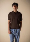 شايبس Brown