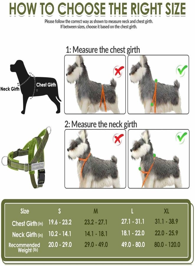 Lukovee No Pull Dog Harness and Leash Set - Adjustable Soft Padded Vest with Front Clip for Easy Control, Reflective Durable Harness for Safe Daily Training Walking for Medium Large Dogs (S, Green) - Image 5