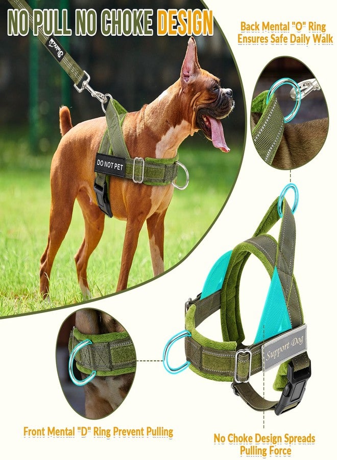 Lukovee No Pull Dog Harness and Leash Set - Adjustable Soft Padded Vest with Front Clip for Easy Control, Reflective Durable Harness for Safe Daily Training Walking for Medium Large Dogs (S, Green) - Image 2