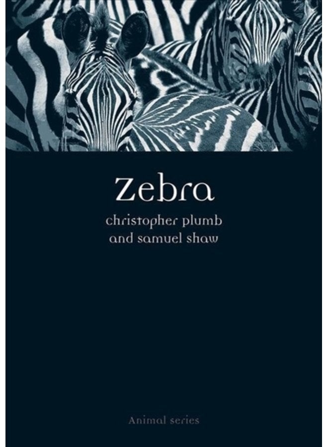 Zebra - Paperback