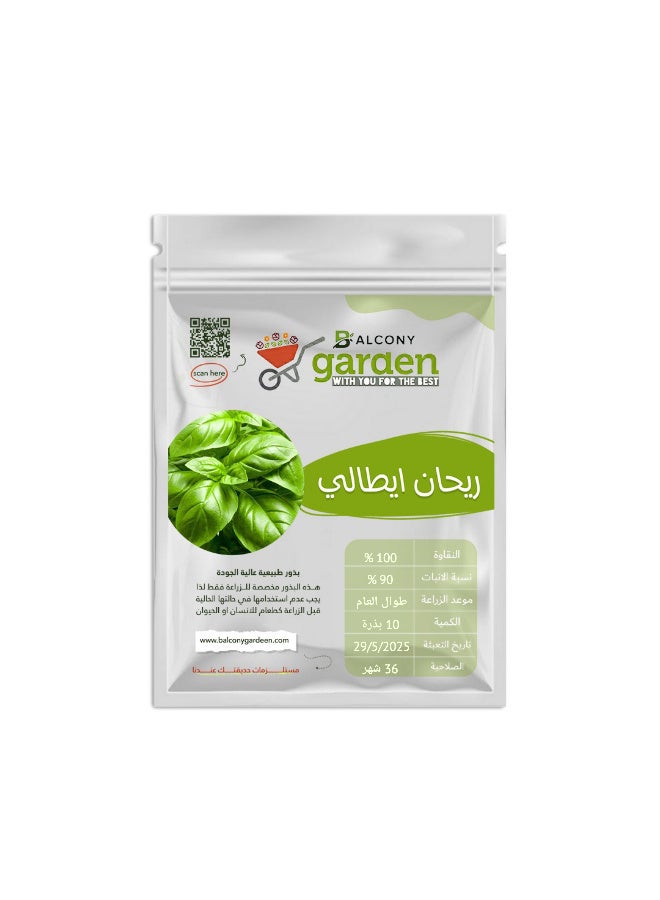 Imported Italian Food Basil Seeds (10 Seeds) - Ideal for Home Growing from Balcony Garden