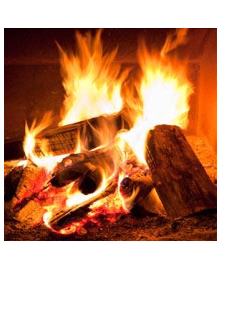 GO2CAMPS Premium European Birch Firewood Logs - 10 Kg Net Bag - Kiln Dried Hardwood for Maximum Heat Output, Clean Burning & Easy Lighting - Ideal for Camping, BBQ, Fireplaces, Wood Stoves, Fire Pits & Pizza Ovens - Image 4