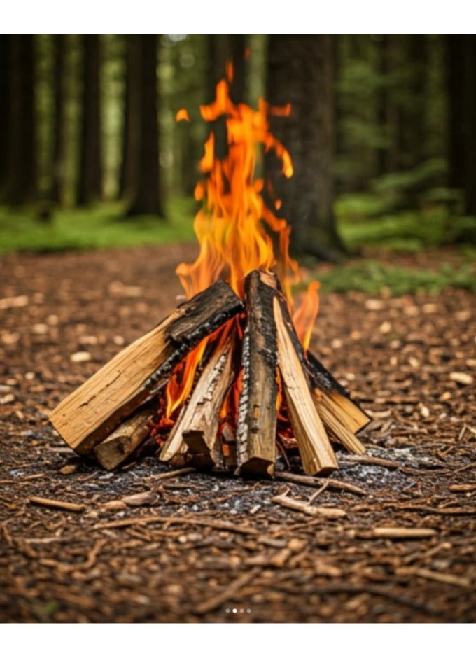 GO2CAMPS Premium European Birch Firewood Logs - 10 Kg Net Bag - Kiln Dried Hardwood for Maximum Heat Output, Clean Burning & Easy Lighting - Ideal for Camping, BBQ, Fireplaces, Wood Stoves, Fire Pits & Pizza Ovens - Image 5