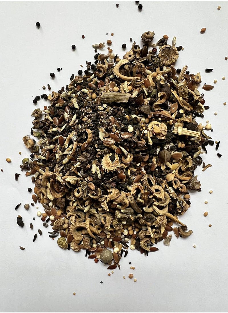 GGOOT - Wild Flower Seed UK 10% Mix Annual Meadow Plants Attracts Bees & Butterfly Pure Wildflower Seeds Mix 3 (10g) - Image 1