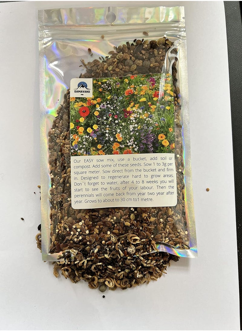 GGOOT - Wild Flower Seed UK 10% Mix Annual Meadow Plants Attracts Bees & Butterfly Pure Wildflower Seeds Mix 3 (10g) - Image 1