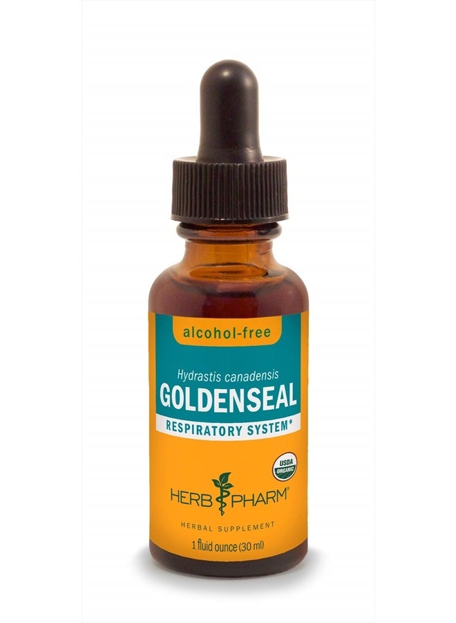 HERB PHARM Certified Organic Goldenseal Liquid Extract for Respiratory System Support, Alcohol-Free Glycerite, 1 Ounce - Image 1