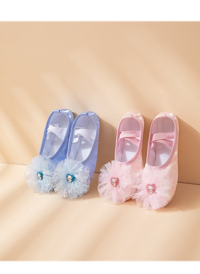 Loquat Dance Shoes Women Soft Sole Ballet Dance Yoga Special Shoes Multicolour 