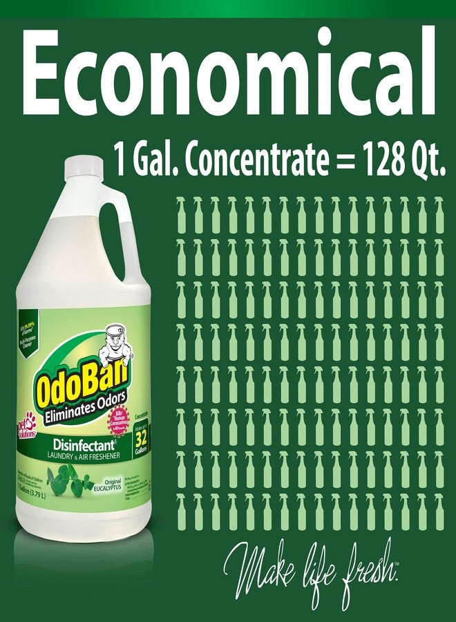 OdoBan Disinfectant Concentrate and Odor Eliminator, Made in the USA, Original Eucalyptus Scent, 1 Gallon - Image 4
