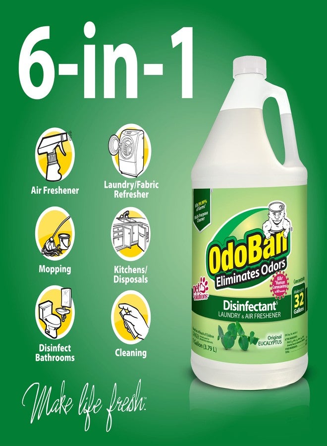 OdoBan Disinfectant Concentrate and Odor Eliminator, Made in the USA, Original Eucalyptus Scent, 1 Gallon - Image 3