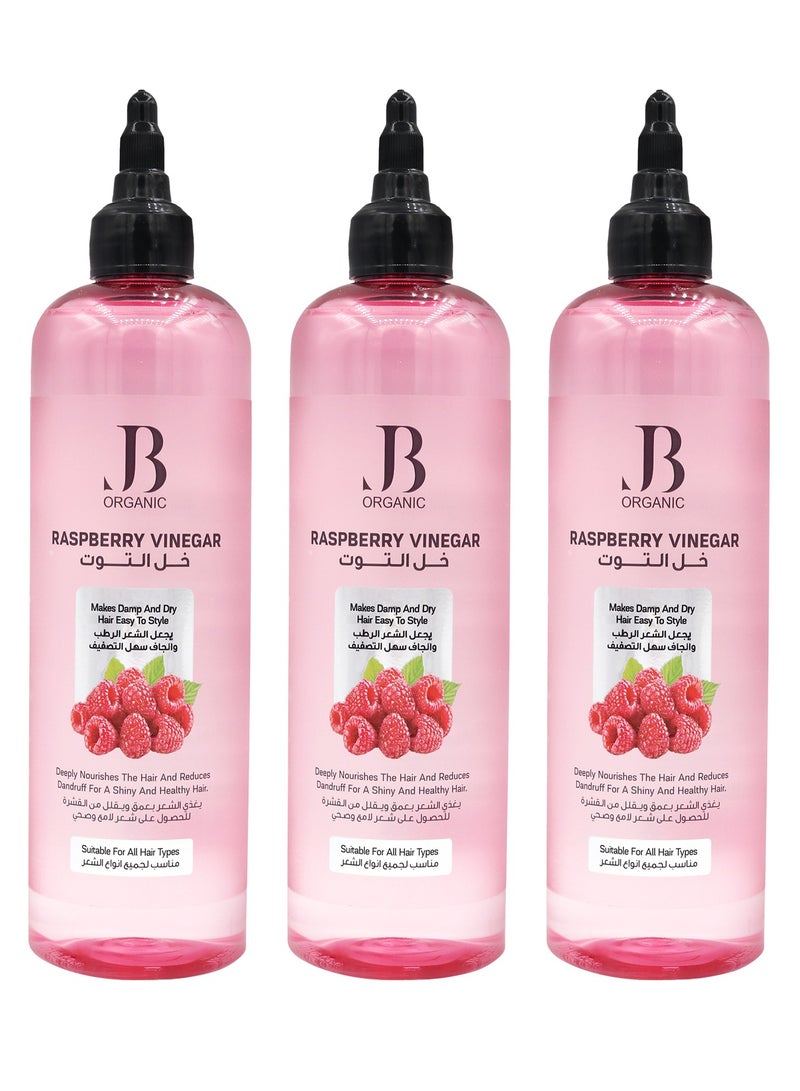 جي بي اورجانيك تونيك مجموعة من 3 قطع خل التوت مقوي للشعر , 400 مل - Image 1