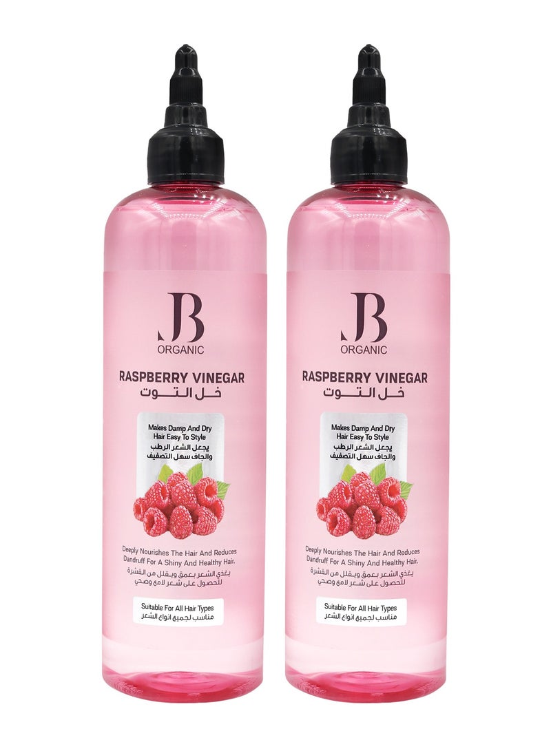 جي بي اورجانيك تونيك مجموعة من 3 قطع خل التوت مقوي للشعر , 400 مل - Image 3