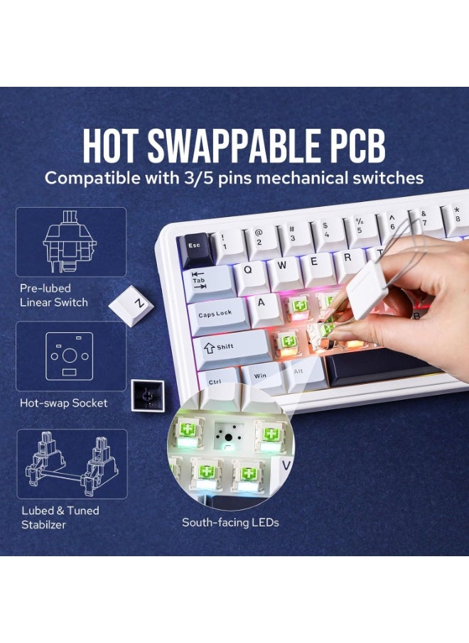 AULA F65 65% Wireless Mechanical Keyboard, Hot Swappable Reaper Switch Gasket Custom Gaming Keyboard with Five-Layer Padding, RGB Backlit, Bluetooth/2.4GHz/USB-C  - Image 5