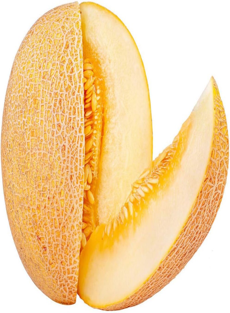 جي جوت 30 قطعة من بذور الشمام، صنف نادر، بطيخ أصفر ذهبي، لحم أبيض نقي، عشبة معمرة، بذور فاكهة، حصاد صيفي، ألوان زاهية، ديكور، فناء الحديقة