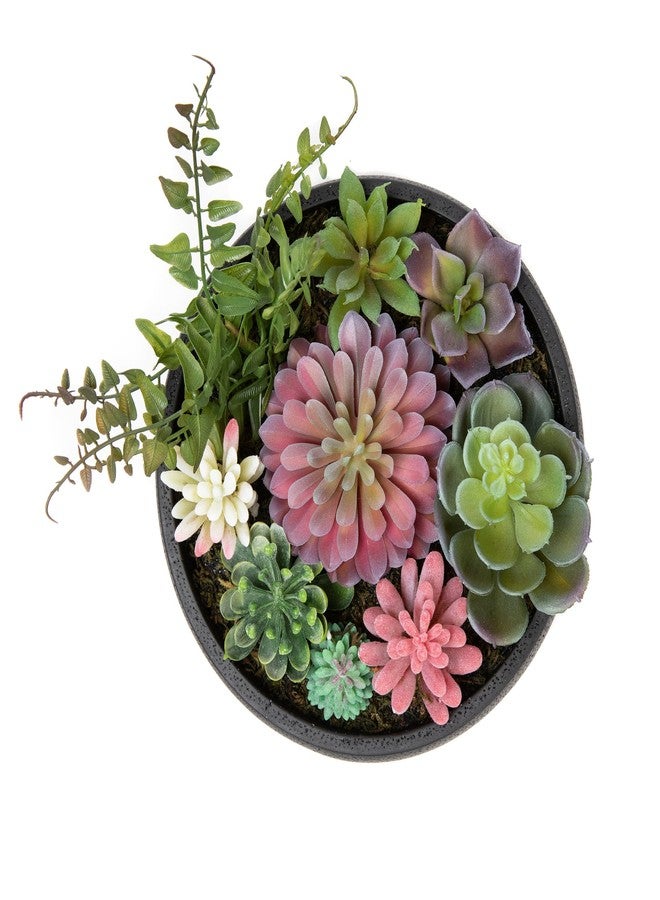 Nattol 8 Inch Round Modern Artificial Succulent Plant Arrangement, Assorted Fake Plants in Black Concrete Planter Bowl for Home Decoration - Image 5