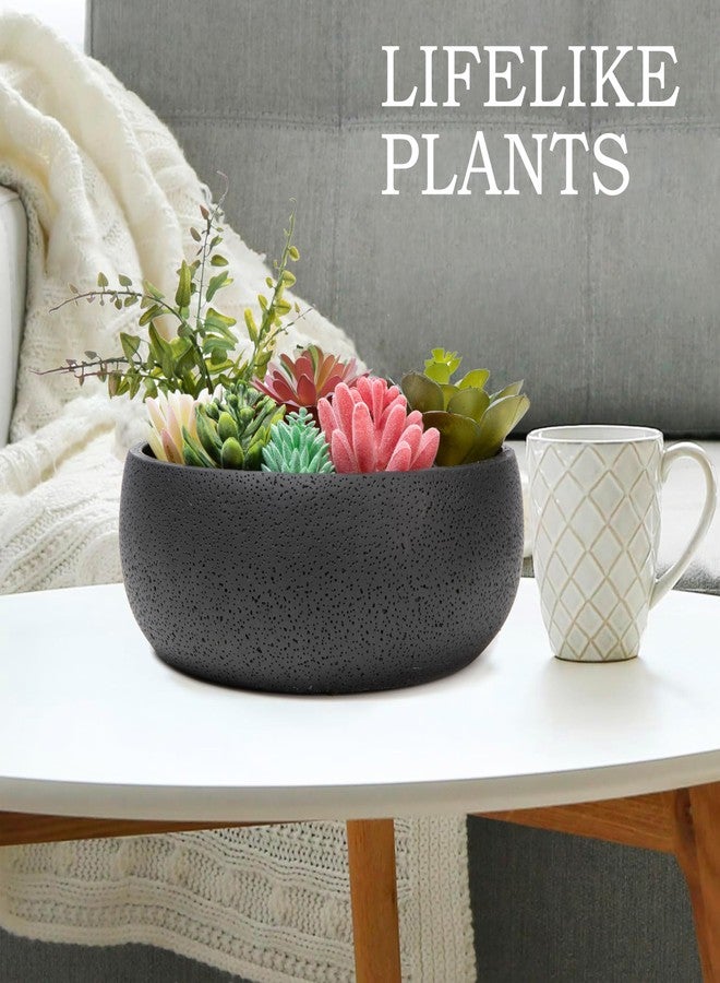 Nattol 8 Inch Round Modern Artificial Succulent Plant Arrangement, Assorted Fake Plants in Black Concrete Planter Bowl for Home Decoration - Image 3
