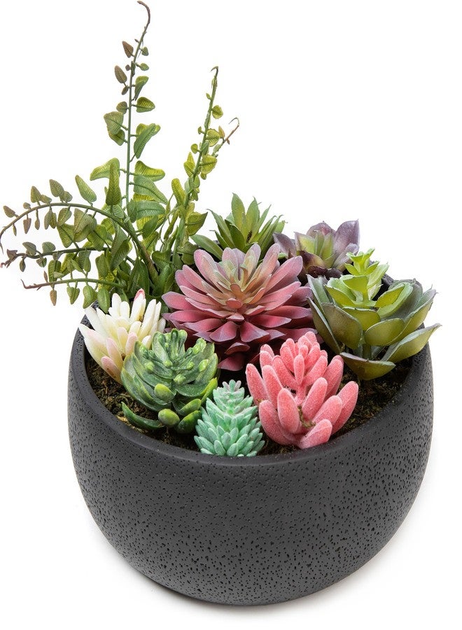 Nattol 8 Inch Round Modern Artificial Succulent Plant Arrangement, Assorted Fake Plants in Black Concrete Planter Bowl for Home Decoration - Image 1