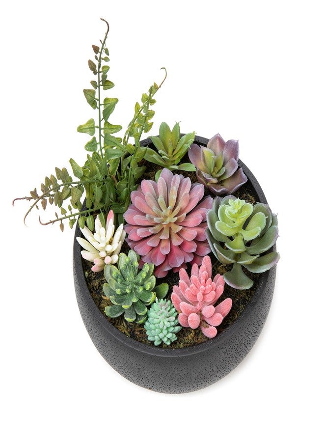Nattol 8 Inch Round Modern Artificial Succulent Plant Arrangement, Assorted Fake Plants in Black Concrete Planter Bowl for Home Decoration - Image 4