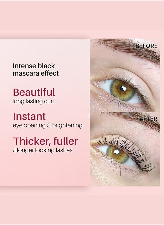 2 IN 1 Fast Perming Lash Lifting Brow Lamination Kit Lasting 6-8 Weeks Mascara Makeup Tools