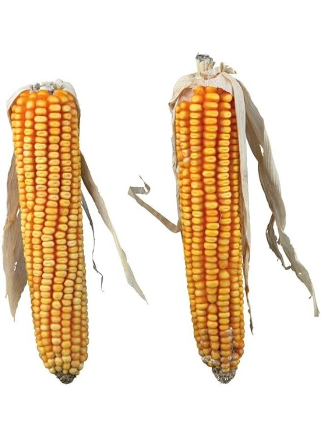 Trixie Maize Cobs with Husk Small Pet Treats 250g