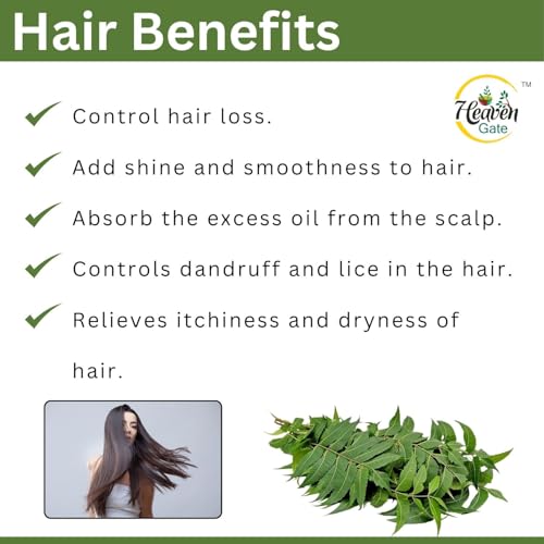 Heaven Gate Dry Neem Leaves – and Versatile Herb for Wellness, Perfect for Herbal Teas, DIY Remedies, Skin Care, and Traditional Ayurvedic Practices, Packed for Long-Lasting Freshness (250 GM) - Image 3