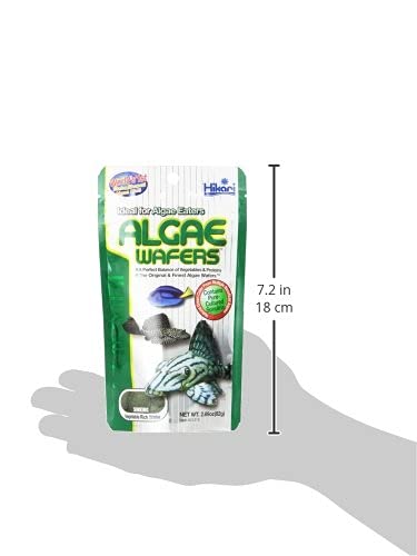 Hikari USA Inc AHK21316 Tropical Algae Wafer Fish Food, 82g - Image 3