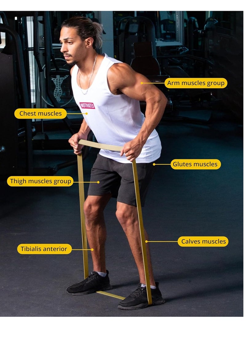 RIGID FITNESS Single Resistance Band - Heavy Duty Rubber Band with Strong Resistance, Pull-Up Assistance Band, Stretching Workout, Bodybuilding, Home Exercise Band _Paige  - Image 4