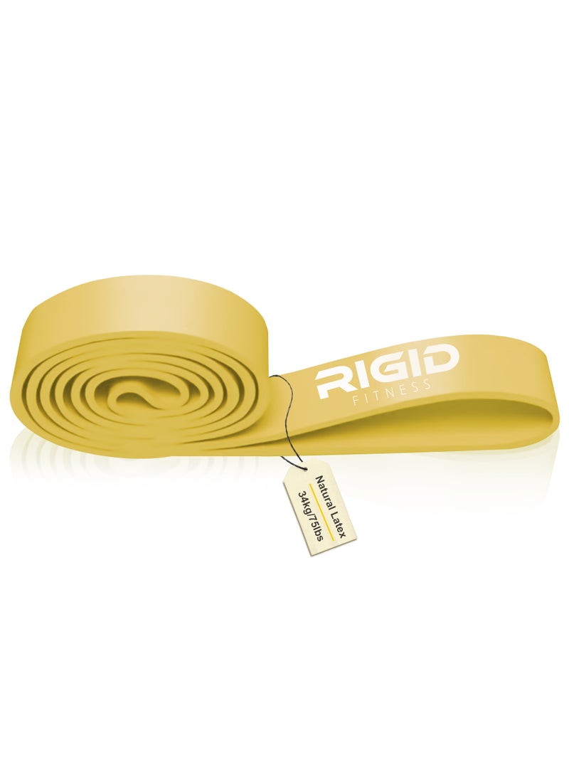 RIGID FITNESS Single Resistance Band - Heavy Duty Rubber Band with Strong Resistance, Pull-Up Assistance Band, Stretching Workout, Bodybuilding, Home Exercise Band _Paige  - Image 1