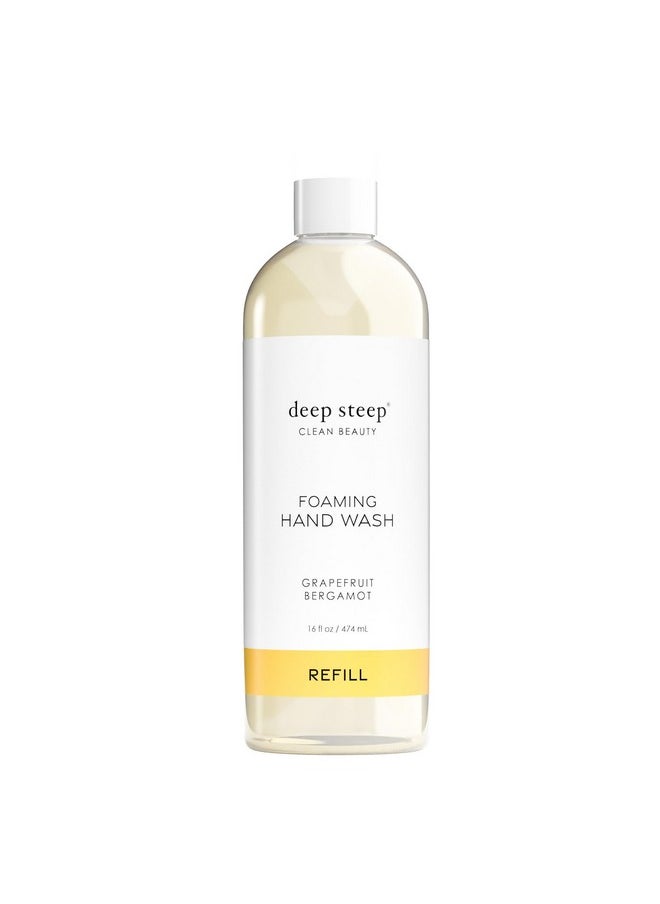 Foaming Hand Wash Refill, 16Oz (Grapefruit Bergamot) - pzsku/Z639FC698DFD2B3BBE662Z/45/_/1734183386/e8173c17-2ad6-4ded-a1fb-97b3d663b38a