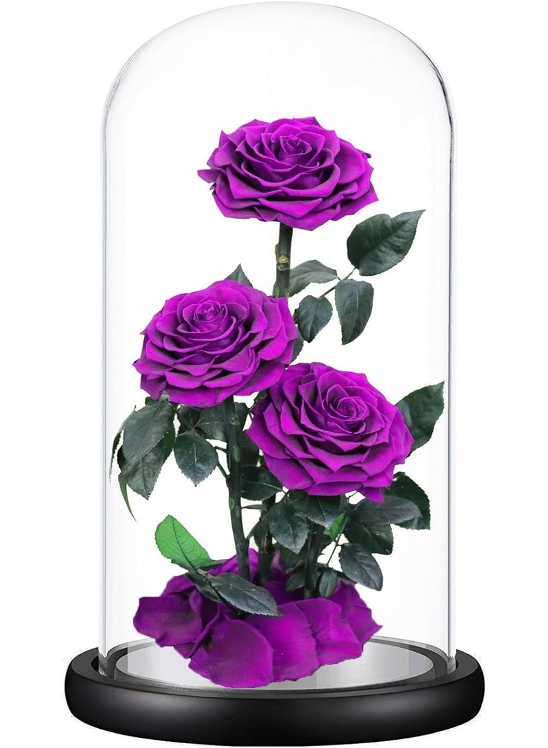 معرض الأعياد وردة كبيرة محفوظة يدوياً، لا تذبل أبداً، هدية عيد الحب، هدية زفاف، ذكرى زواج، عيد ميلاد، هدية عيد الأم، أفضل هدية لها، 33×17×17 سم (بنفسجي) - Image 3